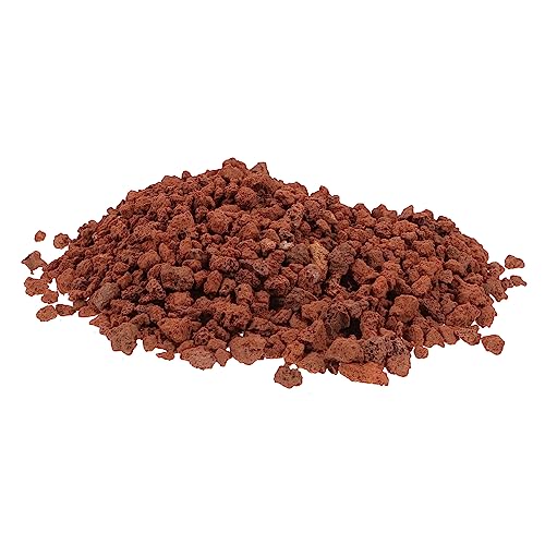 TOYANDONA Natürliche Vulkansteine für Aquarium Deko Pflanzen Bodengrund Bonsai Wasserkulturen Stilvolle Sichere Dekoration für Fische und Sukkulenten TOYANDONA Natürliche Vulkansteine für Aquarium Deko Pflanzen Bodengrund Bonsai Wasserkulturen Stilvolle Sichere Dekoration für Fische und Sukkulenten von TOYANDONA