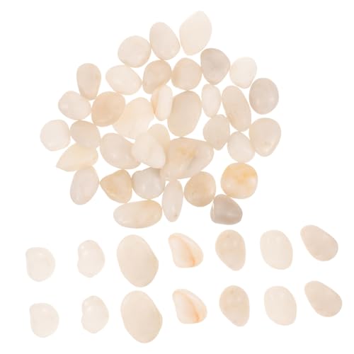 TOYANDONA Natürliche Weiße Polierte Flusskiesel Aquarium Deko Steine Ph Neutraler Aquarienkies für Fischbecken Bodengrund Vielseitige Gartendekoration und von TOYANDONA