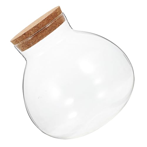 TOYANDONA Ökologische Mikrolandschaftsflasche ökologische Glasflasche Ökosystemflasche Süßigkeitenglas Desktop-Mikrolandschaftsflasche Landschaft Flasche Vermehrungstopf Kork Transparent von TOYANDONA
