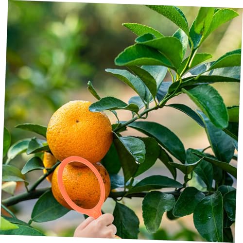 TOYANDONA Obst Fruchtmaß Durchmesser Messwerkzeug für Zitrusfrüchte Apfel Birne Vielseitig Einsetzbar Intuitive Handhabung Einfache Nutzung ohne Schulung Präzise Fruchtklassifizierung TOYANDONA Obst Fruchtmaß Durchmesser Messwerkzeug für Zitrusfrüchte Apfel Birne Vielseitig Einsetzbar Intuitive Handhabung Einfache Nutzung ohne Schulung Präzise Fruchtklassifizierung von TOYANDONA