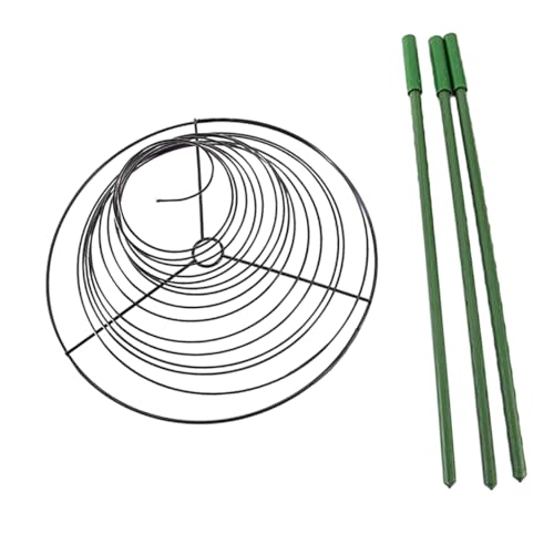 TOYANDONA Pflanzenstütze Spiral Rankhilfe Robustem Material Formschönes Gartengitter für Kletterpflanzen als Indoor Treibstütze und Topfpflanzenhalter zur Gesunden Pflanzenentwicklung von TOYANDONA
