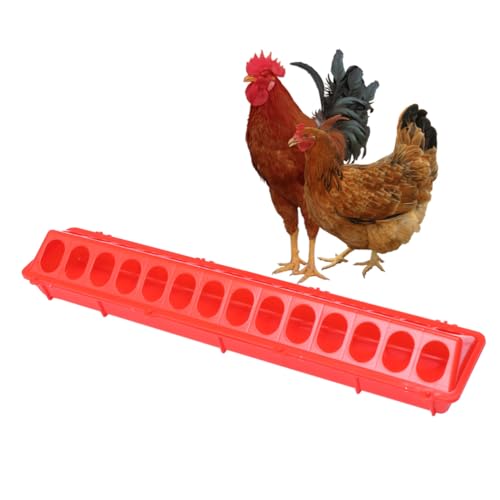 TOYANDONA Pigeon Feeder Futterstation Futterspender mit Mehrfachschlitzen für Tauben Papageien Kleine Vögel Robust Sicher Hygienisch Rot Geeignet Vogelkäfig von TOYANDONA