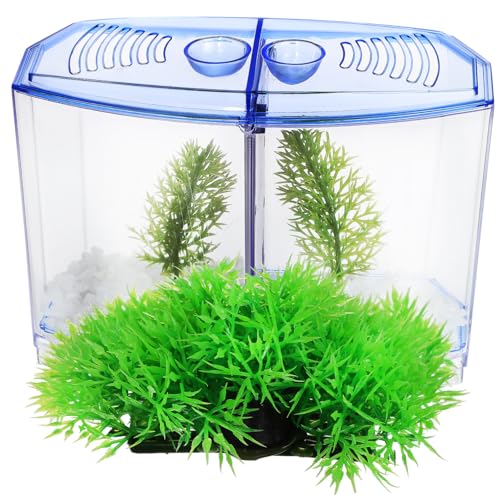 TOYANDONA Plastik Aquarium Zuchtbox Teiliges Set Transparent mit Blauer Trennwand und Künstlichen Wasserpflanzen Multifunktional für Kleine Fische Hydroponik und Kreative Tischdekoration TOYANDONA Plastik Aquarium Zuchtbox Teiliges Set Transparent mit Blauer Trennwand und Künstlichen Wasserpflanzen Multifunktional für Kleine Fische Hydroponik und Kreative Tischdekoration von TOYANDONA