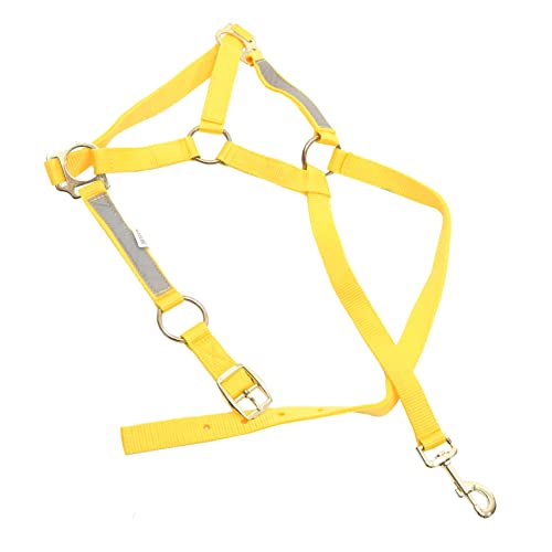 TOYANDONA Reflektierender Pferdschleier Völlig Pferde- Reflektierendes Pferdegeschirr Strickhalfter Für Pferde Reflektierendes Pferdehalfter Verstellbares Halfter Gelb Pp-gurtband TOYANDONA Reflektierender Pferdschleier Völlig Pferde- Reflektierendes Pferdegeschirr Strickhalfter Für Pferde Reflektierendes Pferdehalfter Verstellbares Halfter Gelb Pp-gurtband von TOYANDONA