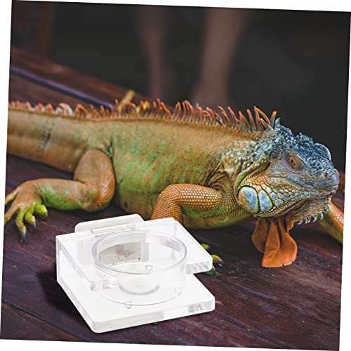 TOYANDONA Reptilien Futter und Wassernapf mit Starkem Magnet Kompakte Transparente Futterstation rutschfest und Einfach zu Befestigen für Terrarien und Kleine Kriechtiere TOYANDONA Reptilien Futter und Wassernapf mit Starkem Magnet Kompakte Transparente Futterstation rutschfest und Einfach zu Befestigen für Terrarien und Kleine Kriechtiere von TOYANDONA