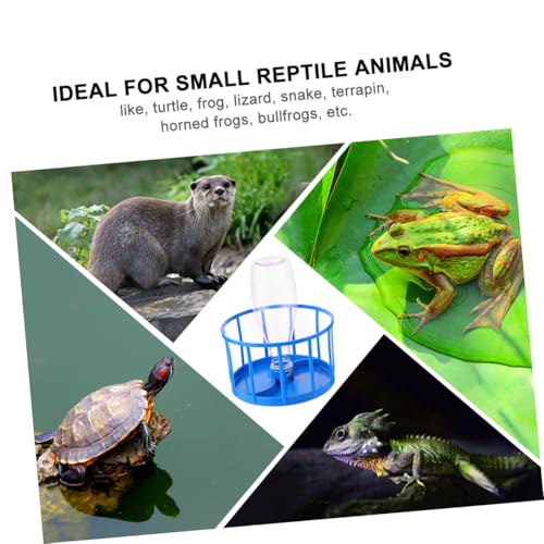 TOYANDONA Reptilien Futternapf mit Großem Fassungsvermögen Lebensmittelechter Kunststoff Abnehmbarer Wasserspender Leicht zu Reinigen Geeignet für Schildkröten Eidechsen Frösche und Kleine TOYANDONA Reptilien Futternapf mit Großem Fassungsvermögen Lebensmittelechter Kunststoff Abnehmbarer Wasserspender Leicht zu Reinigen Geeignet für Schildkröten Eidechsen Frösche und Kleine von TOYANDONA