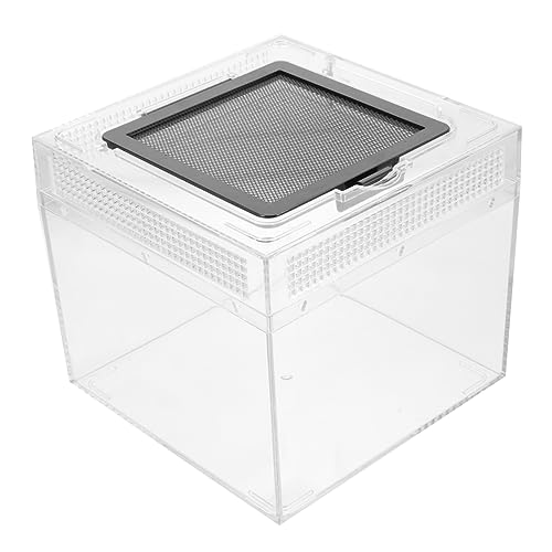 TOYANDONA Reptilien Inkubator Box mit Transparentem Stabilem Gehäuse und Magnetischer Schiebedichtung Belüftet für Frische Luft zur Haltung und Fütterung von Echsen Schildkröten und Kleinen TOYANDONA Reptilien Inkubator Box mit Transparentem Stabilem Gehäuse und Magnetischer Schiebedichtung Belüftet für Frische Luft zur Haltung und Fütterung von Echsen Schildkröten und Kleinen von TOYANDONA
