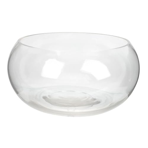 TOYANDONA Runde Glas Fischschale Transparent Hydroponischer Pflanzentopf Fischglas Vase für Büro Tischdekoration Kleine Aquarium Schale für Goldfisch und Wasserpflanzen von TOYANDONA