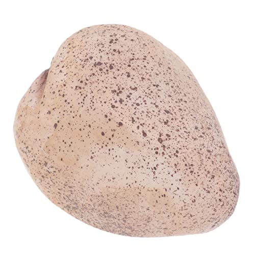 TOYANDONA Schlüsselkasten aus Stein Code Rock Key Hider im Freien Key Rock verbergen Kabinett für falsche Felsen Wetterfest versteck Key Outdoor Decorative verbergen Backyard Key Hider Harz TOYANDONA Schlüsselkasten aus Stein Code Rock Key Hider im Freien Key Rock verbergen Kabinett für falsche Felsen Wetterfest versteck Key Outdoor Decorative verbergen Backyard Key Hider Harz von TOYANDONA