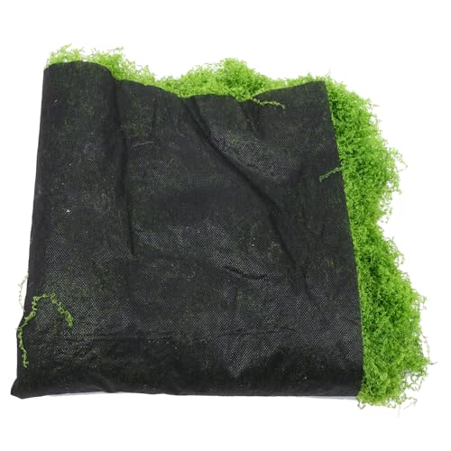 TOYANDONA Simuliertes Fadenmoos Szene Modellgras dekorativer Kunstrasen Simulationsgras Fälschung live Moosgras Realistische Simulation Moosmatte Perlenbaumwolle Light Green TOYANDONA Simuliertes Fadenmoos Szene Modellgras dekorativer Kunstrasen Simulationsgras Fälschung live Moosgras Realistische Simulation Moosmatte Perlenbaumwolle Light Green von TOYANDONA