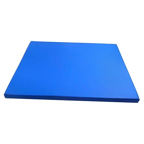 TOYANDONA Sohlen Desinfektionsmatte S Wiederverwendbare Schwamm Eingangsmatte zur von Schuhsohlen Antirutsch Fußmatte für Flur und Eingang Blau TOYANDONA Sohlen Desinfektionsmatte S Wiederverwendbare Schwamm Eingangsmatte zur von Schuhsohlen Antirutsch Fußmatte für Flur und Eingang Blau von TOYANDONA