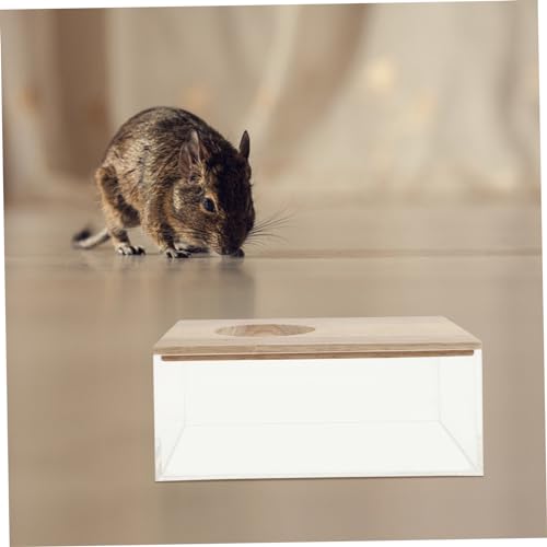 TOYANDONA Transparente Chinchilla Sandbad Box aus mit Holzdeckel Multifunktional für Hamster Meerschweinchen und Kleine Haustiere Dekoratives Bad für Kleintierkäfige TOYANDONA Transparente Chinchilla Sandbad Box aus mit Holzdeckel Multifunktional für Hamster Meerschweinchen und Kleine Haustiere Dekoratives Bad für Kleintierkäfige von TOYANDONA