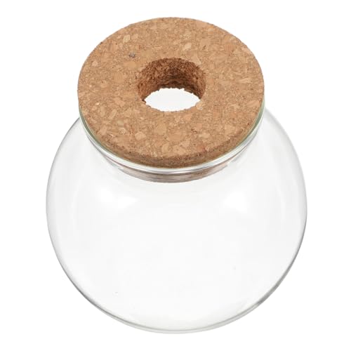 TOYANDONA Transparentes Glas Terrarium mit Korkverschluss Rundes DIY Pflanzengefäß aus Klarem Glas Platzsparendes Hydroponik Vase für Farnpflanzen Moos Sukkulenten und Luftpflanzen von TOYANDONA