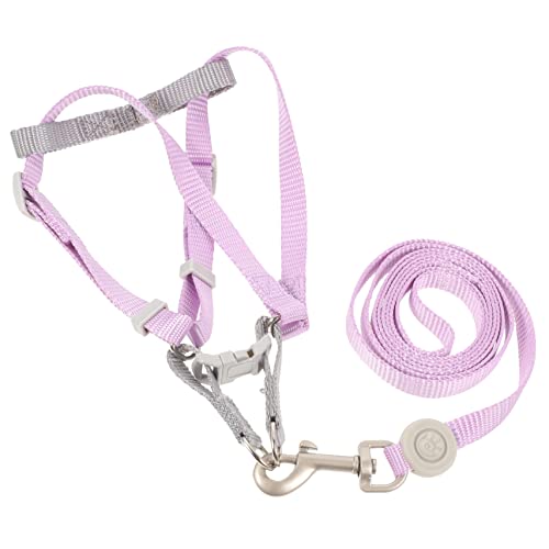 TOYANDONA Verstellbares Hundegeschirr und Set Leichtes Flucht Sicheres Geschirr mit Doppel D Ring Geeignet für Kleine und Mittelgroße Hunde Modisches Design Komfortabel und Einfach von TOYANDONA