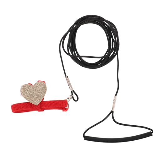 TOYANDONA Geschirr Mit Leine Für Papageien Verstellbar Leicht Sicher Kompaktes Design Für Outdoor-aktivitäten Für Sittiche Und Nymphensittiche TOYANDONA Geschirr Mit Leine Für Papageien Verstellbar Leicht Sicher Kompaktes Design Für Outdoor-aktivitäten Für Sittiche Und Nymphensittiche von TOYANDONA