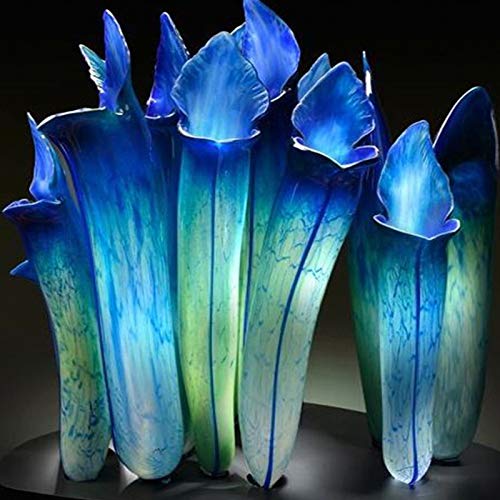 TOYHEART 20 Stück Premium-Blumensamen, Nepenthes-Samen Tropische Hohe Keimrate Mehrfarbige Seltene Kannenpflanzensamen Für Zu Hause Blau von TOYHEART