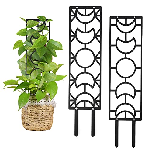 2 Stück Kletterhilfe für Pflanzen, 48 cm Rankgitter Metall Rankhilfe Zimmerpflanzen Pflanzengitter Mondphase Gartengitter für Pflanzen Kletterpflanzen Topfpflanzen Monstera (Schwarz) von TOYMIS