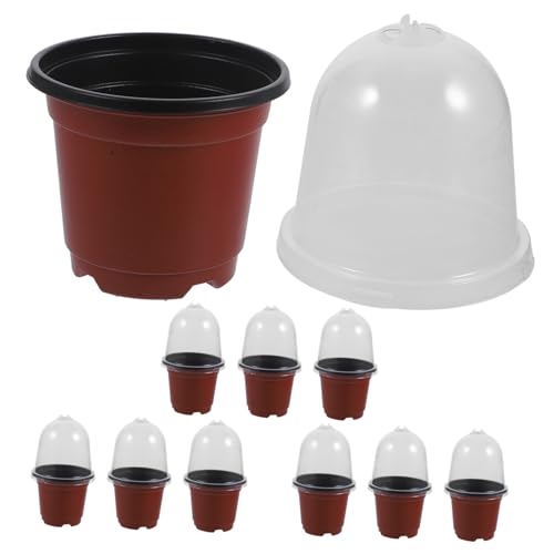 TOYZFRIENDY 10 Sätze Pflanztöpfe mit Feuchtigkeitskuppel Kunststoff Anzuchttöpfe für Sukkulenten und Blumen mit Ablauflöchern Leichter Pet Material Geeignet für Zimmer Gartenpflanzen TOYZFRIENDY 10 Sätze Pflanztöpfe mit Feuchtigkeitskuppel Kunststoff Anzuchttöpfe für Sukkulenten und Blumen mit Ablauflöchern Leichter Pet Material Geeignet für Zimmer Gartenpflanzen von TOYZFRIENDY