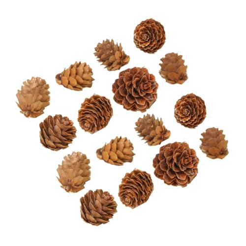 TOYZFRIENDY 100 Stück Teiliges Holz Natürliche Pinienzapfen Deko Rustikale Weihnachts und Herbstdekoration für Zuhause Garten Party DIY Basteln und Festlichkeiten TOYZFRIENDY 100 Stück Teiliges Holz Natürliche Pinienzapfen Deko Rustikale Weihnachts und Herbstdekoration für Zuhause Garten Party DIY Basteln und Festlichkeiten von TOYZFRIENDY