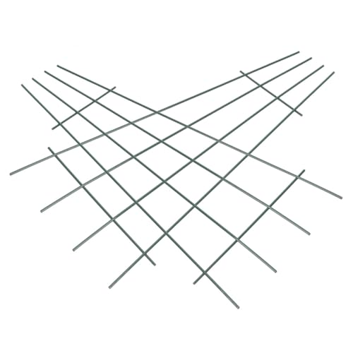 TOYZFRIENDY 2 Stück Eisen Rankgitter Klettergerüst für Weinreben und Kletterpflanzen Dekoratives Spalier für Garten und Kübel Stabile Pflanzstütze für Indoor und Outdoor Pflanzen TOYZFRIENDY 2 Stück Eisen Rankgitter Klettergerüst für Weinreben und Kletterpflanzen Dekoratives Spalier für Garten und Kübel Stabile Pflanzstütze für Indoor und Outdoor Pflanzen von TOYZFRIENDY