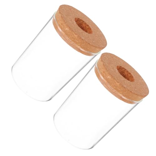 TOYZFRIENDY 2 Stück Hydrokultur Glasvase Transparent Pflanzflasche für Wasserpflanzen Büro Tischdekoration Mini Landschaft Terrarium für Sukkulenten und Kakteen TOYZFRIENDY 2 Stück Hydrokultur Glasvase Transparent Pflanzflasche für Wasserpflanzen Büro Tischdekoration Mini Landschaft Terrarium für Sukkulenten und Kakteen von TOYZFRIENDY