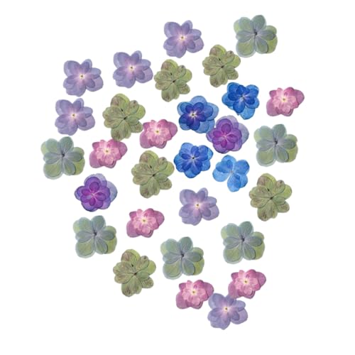 TOYZFRIENDY 30 Stück Teiliges Getrocknete Doppelblüten hortensien Trockenblumen für DIY Gepresste Blumen Kerzenherstellung Harzschmuck Scrapbooking Natürliche Langlebige Deko von TOYZFRIENDY