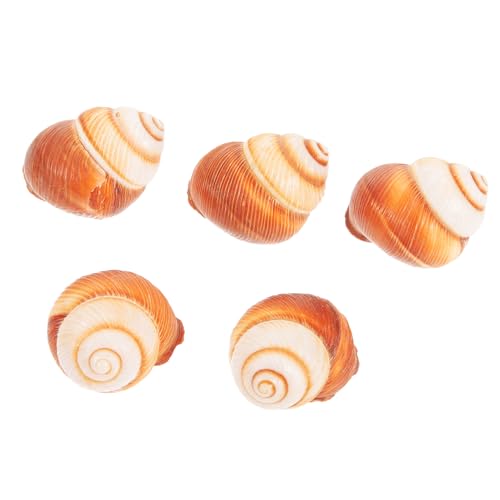 TOYZFRIENDY 5 Stück Escargot Schneckenschalen aus Natürlichem Lebensmittelechtem Material Dickwandig und Sicher Geeignet für Französisches Backen Ofen Mikrowelle Gefrierschrank und von TOYZFRIENDY