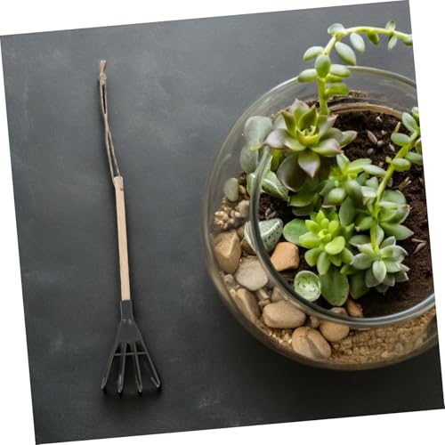 TOYZFRIENDY 5 Stück Teiliges Mini Handrechen aus Robustem Eisen mit Ergonomischem Griff Gartenkultivator für Unkrautentfernung Bodenaeration und Pflanzpflege für und Gartenarbeit von TOYZFRIENDY