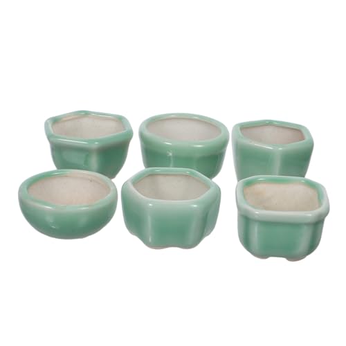 TOYZFRIENDY 6 Stück Mini Blumentöpfe aus Steinzeug Moderne Kleine Pflanzgefäße für Sukkulenten und Bonsai Kompakte Schreibtisch-übertöpfe für Innenräume Leicht und Stilvoll für Wohn TOYZFRIENDY 6 Stück Mini Blumentöpfe aus Steinzeug Moderne Kleine Pflanzgefäße für Sukkulenten und Bonsai Kompakte Schreibtisch-übertöpfe für Innenräume Leicht und Stilvoll für Wohn von TOYZFRIENDY