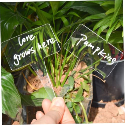 TOYZFRIENDY 6 Stück Teiliges Acryl Pflanzenschild Wetterfest Beschriftbar Elegantes Design zum Einfachen Einstecken für Garten Blumen Sukkulenten Leichte Tragbare Pflanzenetiketten von TOYZFRIENDY