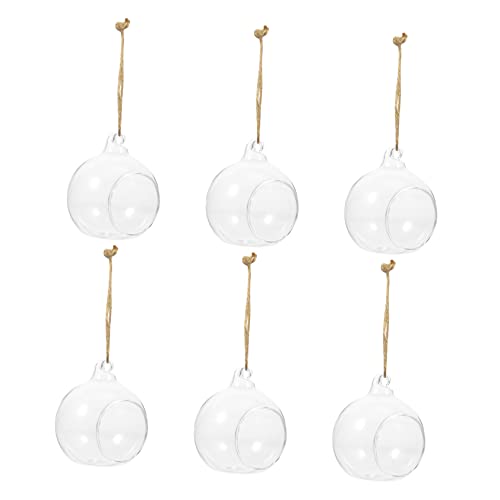 TOYZFRIENDY 6 Stück Teiliges Transparente Hängende Glasvasen Kugelform DIY Micro Landscape Pflanzgefäß Hängende Glasflaschen für Tischdeko und Wohnraumdekoration von TOYZFRIENDY