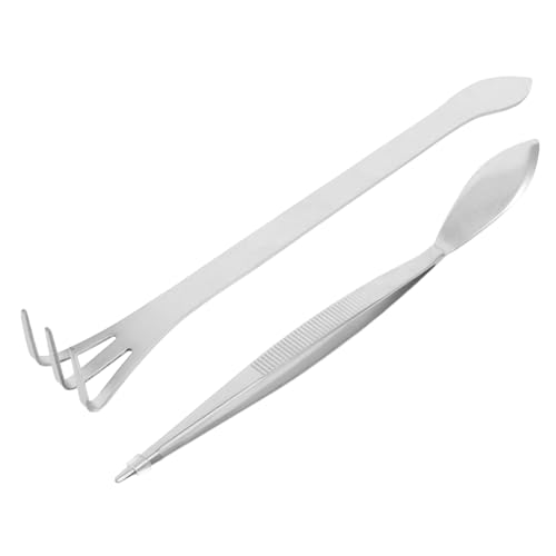 TOYZFRIENDY Bonsai Pinzette und Rechen Ergonomisch Rostfrei für Moospflege Bodenlockerung und Umtopfen Praktische Gartentools für Anfänger und Profis von TOYZFRIENDY