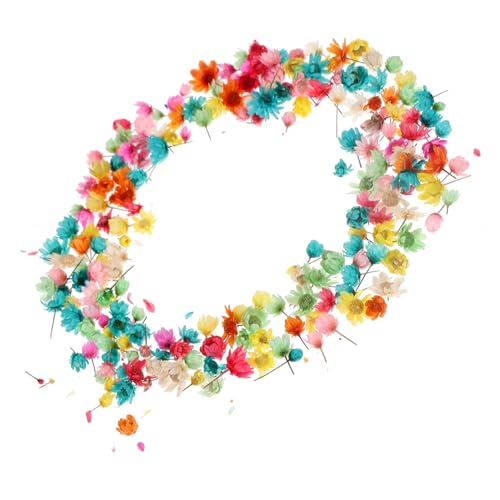 TOYZFRIENDY Getrocknete Blumen DIY Bastelset Kleine Bunte Gepresste Blüten für Harzschmuck Kerzen Seife Scrapbooking Natürlich Lebendige Farben von TOYZFRIENDY