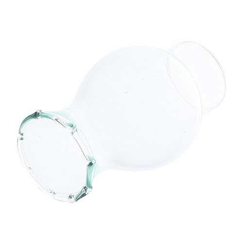 TOYZFRIENDY Glas Kerosin Lampenschirm Ersatztransparent Öl Lampenschirm Hurrikan Laterne für Camping Outdoor Dekoration Wohnraum von TOYZFRIENDY