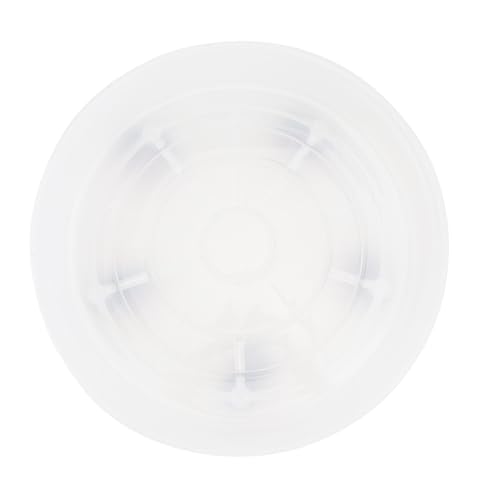 TOYZFRIENDY Halbrunde Pflanzunterlage mit Universalrollen Stabiler Pflanzenroller für Drinnen und Draußen Wasserfestes Blumentopf Tablett zur Wasseraufnahme und Bodenschonend TOYZFRIENDY Halbrunde Pflanzunterlage mit Universalrollen Stabiler Pflanzenroller für Drinnen und Draußen Wasserfestes Blumentopf Tablett zur Wasseraufnahme und Bodenschonend von TOYZFRIENDY