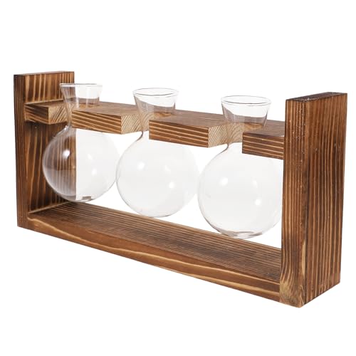 TOYZFRIENDY Holzrahmen Hydroponische Glasvase mit Rundem Blumenbehälter Moderner Desktop blumendeko für Zimmerpflanzen Luftpflanzen Wasserpflanzen Stilvolle Wohn Bürodekoration von TOYZFRIENDY