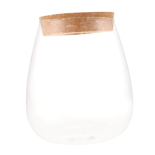 TOYZFRIENDY Hydroponische Glasflasche für Pflanzen Großes Transparentes Terrarium Langlebiger DIY-mikrolandschafts-flaschenkultivator Ökologischer Wasserpflanzen-behälter Dekoratives TOYZFRIENDY Hydroponische Glasflasche für Pflanzen Großes Transparentes Terrarium Langlebiger DIY-mikrolandschafts-flaschenkultivator Ökologischer Wasserpflanzen-behälter Dekoratives von TOYZFRIENDY
