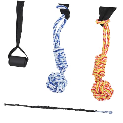 TOYZFRIENDY Interaktives Hundespielzeug Verschleißfestes Kauspielzeug mit Elastischem Zugseil Bällen und Türhalterung Langlebiges Molaren Welpen und Hunde Drinnen und Draußen von TOYZFRIENDY