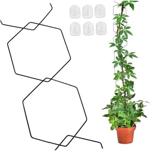 TOYZFRIENDY Metallpflanzengitter Kettenspalier für Kletterpflanzen mit Ringen und Wandhaken Schwere Pflanzenstütze für Innen Außenbereiche Flexible Rankhilfe für Zimmerpflanzen Balkon und TOYZFRIENDY Metallpflanzengitter Kettenspalier für Kletterpflanzen mit Ringen und Wandhaken Schwere Pflanzenstütze für Innen Außenbereiche Flexible Rankhilfe für Zimmerpflanzen Balkon und von TOYZFRIENDY
