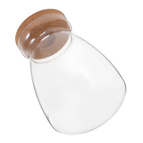 TOYZFRIENDY Micro Landschafts glasflasche mit Korkverschluss Luftdichter Pflanzentopf für Sukkulenten Hydrokultur anzuchtstation Dekoratives Terrarium für Zuhause und Büro Runde Glasvase mit TOYZFRIENDY Micro Landschafts glasflasche mit Korkverschluss Luftdichter Pflanzentopf für Sukkulenten Hydrokultur anzuchtstation Dekoratives Terrarium für Zuhause und Büro Runde Glasvase mit von TOYZFRIENDY
