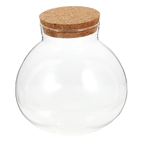 TOYZFRIENDY Ökologische Mikrolandschaftsflasche Knospenvase Glasflasche Luftpflanzen Terrarium verschlossenes Glasgefäß Tabelle Vase Terrarium-Displayglas Mikropflanzenglas Kork Transparent TOYZFRIENDY Ökologische Mikrolandschaftsflasche Knospenvase Glasflasche Luftpflanzen Terrarium verschlossenes Glasgefäß Tabelle Vase Terrarium-Displayglas Mikropflanzenglas Kork Transparent von TOYZFRIENDY