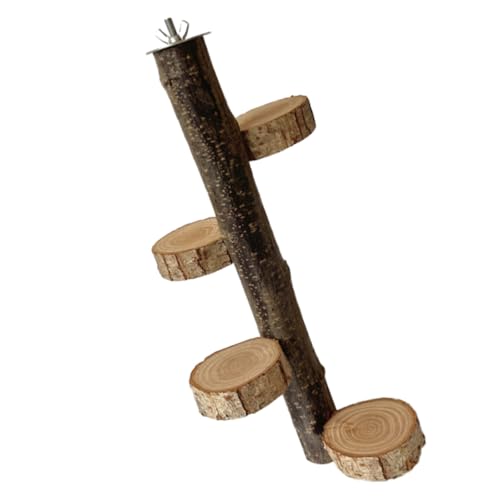 TOYZFRIENDY Papageien Sitzstange aus Holz Vogelkäfig Kletterplattform Stabiles Vogelspielzeug für Wellensittiche und Kleine Vögel Natürliche Holzstange als Krallenfeile Interaktives von TOYZFRIENDY