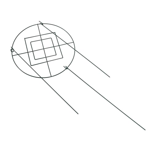 TOYZFRIENDY Pflanzenstütze Metall Rankgitter für Kletterpflanzen und Topfpflanzen Dekorative Garten Rankhilfe aus Eisen Vielseitiger Pflanzenhalter für Garten und Zimmerpflanzen TOYZFRIENDY Pflanzenstütze Metall Rankgitter für Kletterpflanzen und Topfpflanzen Dekorative Garten Rankhilfe aus Eisen Vielseitiger Pflanzenhalter für Garten und Zimmerpflanzen von TOYZFRIENDY