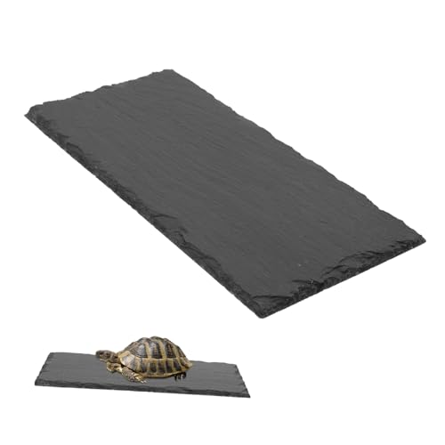 TOYZFRIENDY Rechteckige Schieferplatte Futter Trinkschale für Reptilien und Landschildkröten Robust Leicht zu Reinigen Stabiler Futternapf für Terrarien und Aquarien von TOYZFRIENDY