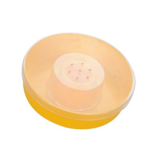 TOYZFRIENDY Runde Bienenfutter Wasserschale aus Kunststoff Praktische Top feeder für Imkerei Einfach zu Reinigen für Futter und Wasserzufuhr im TOYZFRIENDY Runde Bienenfutter Wasserschale aus Kunststoff Praktische Top feeder für Imkerei Einfach zu Reinigen für Futter und Wasserzufuhr im von TOYZFRIENDY