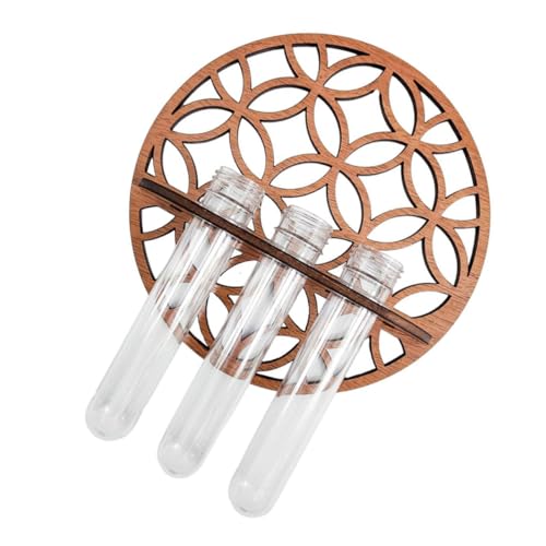 TOYZFRIENDY Rundes Hängendes Pflanzenregal mit Holzständer für Hydroponik Wandvase aus Kunststoff im Reagenzglas Stil für Zimmerpflanzen und Wohnraumdekoration TOYZFRIENDY Rundes Hängendes Pflanzenregal mit Holzständer für Hydroponik Wandvase aus Kunststoff im Reagenzglas Stil für Zimmerpflanzen und Wohnraumdekoration von TOYZFRIENDY