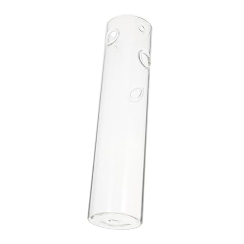 TOYZFRIENDY Transparente Hydroponik Blumenvase zum Aufhängen Wandplanter für Innenbereich Dekorative Hängende Pflanzvase ohne Erde Stilvolle Wohn und Bürodekoration von TOYZFRIENDY