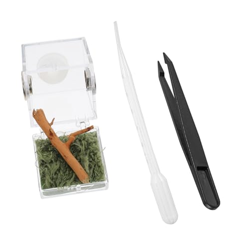 TOYZFRIENDY Transparente Reptilien Zuchtbox aus Acryl Leichte Springspinne Fütterungsbox Kompakte Pet Display Box Feuchtigkeitsbeständig und Langlebig für Kleine Haustiere für Reptilien und TOYZFRIENDY Transparente Reptilien Zuchtbox aus Acryl Leichte Springspinne Fütterungsbox Kompakte Pet Display Box Feuchtigkeitsbeständig und Langlebig für Kleine Haustiere für Reptilien und von TOYZFRIENDY