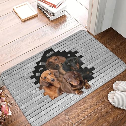Dackel Hund in Zement Ziegel Fußmatte Anti-Rutsch Küche Bad Matte Garten Garage Tür Boden Eingang Teppich Teppich-20x32 inch von TPDODON