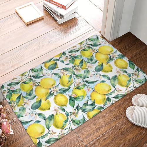 TPDODON Tropische Früchte Sommer Zitrone Fußmatte für die Vordertür rutschfest für den Innenbereich schnelltrocknend Fußmatte Küche Balkon Eingangsbereich Teppich-16x24 inch von TPDODON